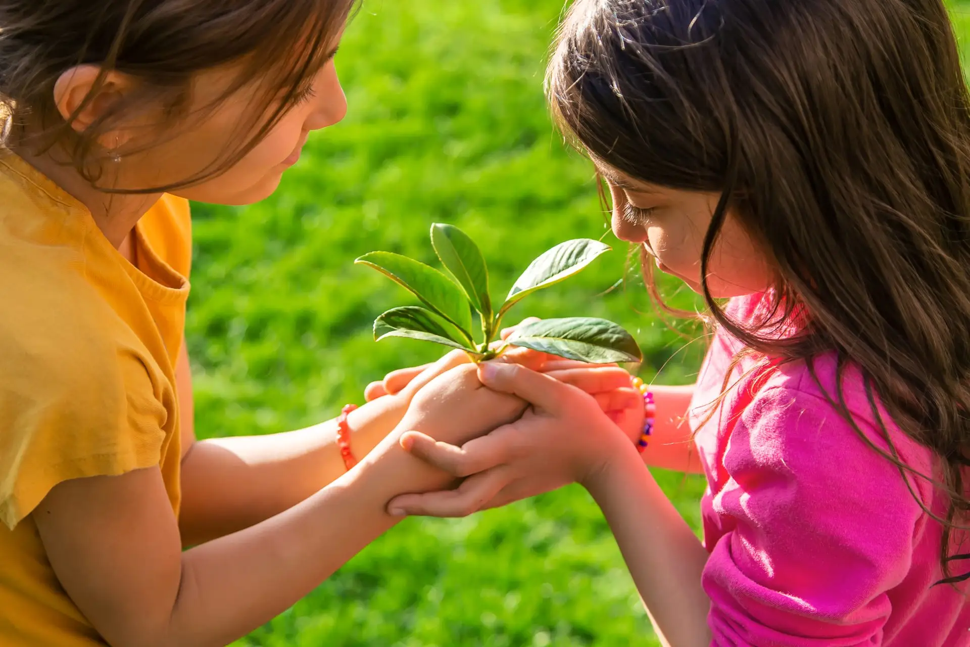 Two children holding a young green plant together Nursery Rhymes Broughty Ferry